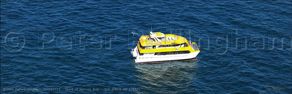 Peter Bellingham Photography Spirit of Hervey Bay - QLD (PBH4 00 17973)